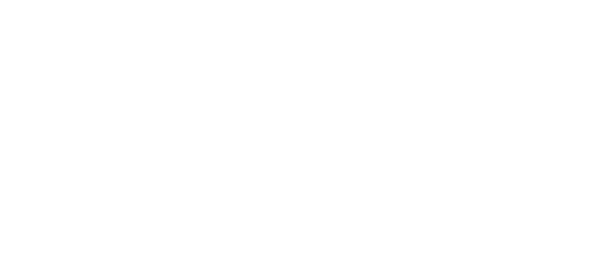 IDC WORLDSOURCE Logo White